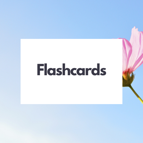 Flash Cards